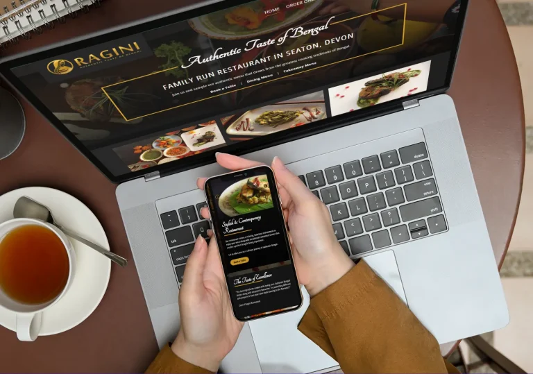 Ragini Website Design